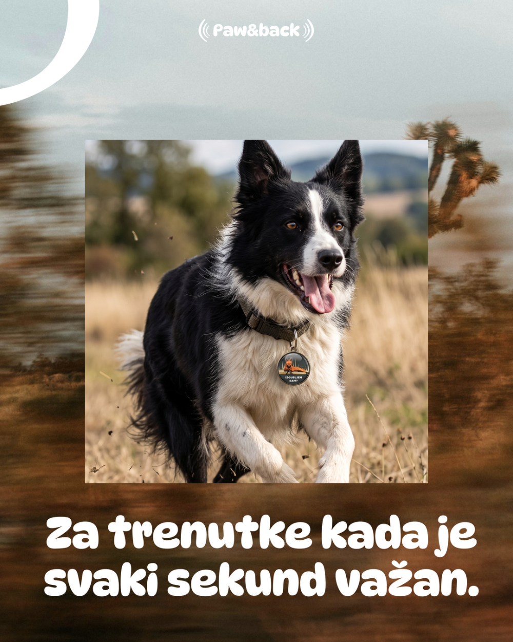 Pas u prirodi sa Paw&back tagom
